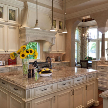 Italian Plaster