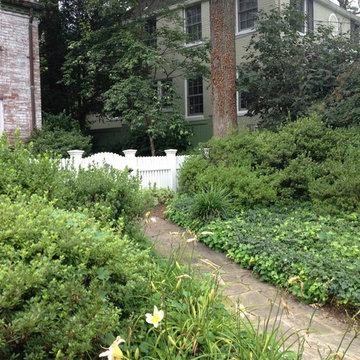 Before - overgrown azaleas and ivy