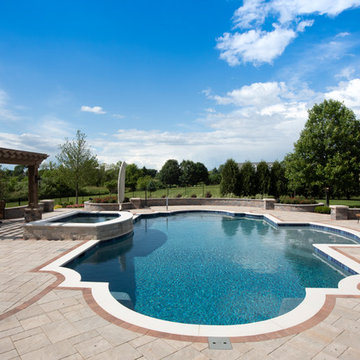 Elgin, IL Roman End Pool with Freeform Hot Tub