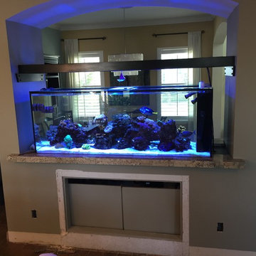 Aquarium Surround