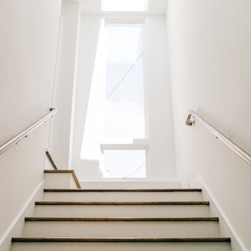 SF Modern