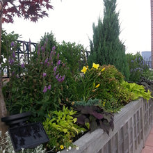 ROOF DECK GARDEN IDEAS