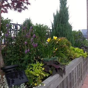 Großer Eklektischer Dachgarten mit Kübelpflanzen und direkter Sonneneinstrahlung in Boston