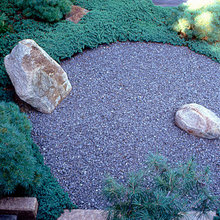 schoolhouse backyard