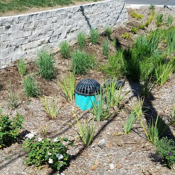 Storm Water Management Landscaing Projects