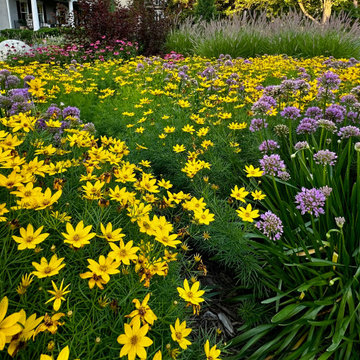 The front garden in May