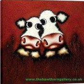 Alison House's photo