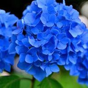Elena Yashanova's photo