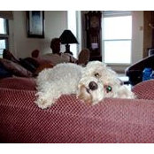 Jimmy Heath's photo