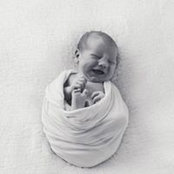 Andree van Rossum's photo