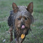 Martha Tolman's photo