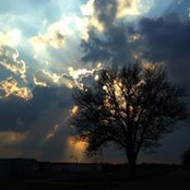 Kathy Seelye's photo