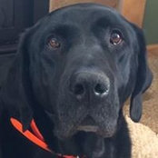 Amee Larson-Brumm's photo