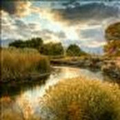 Hannah Shirley Mecham's photo