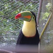 Foto von Cheryl Graham
