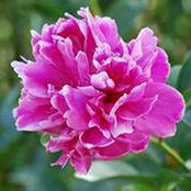 Sarah Doerr's photo