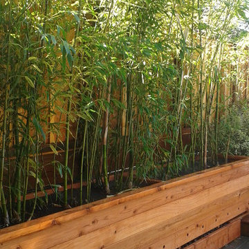 San Francisco, CA - Custom redwood bamboo planter box install