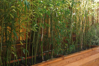 San Francisco, CA - Custom redwood bamboo planter box install