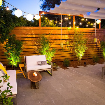 Palo Alto Stunner - 2016 CLCA 2nd Place Award Winner