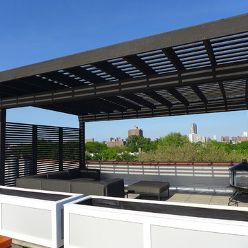 Lakeview rooftop