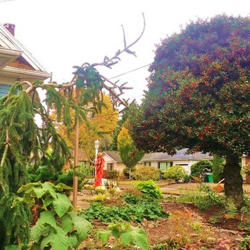 Woodstock Craftsman Cottage Rain Garden