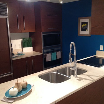 Home Staging - 5 Units in Viceroy Brickell - Miami