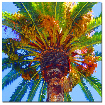 'Palm Tree Looking Up' Canvas Art by Amy Vangsgard