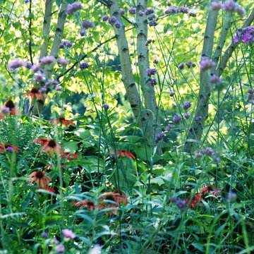 Butterfly Garden