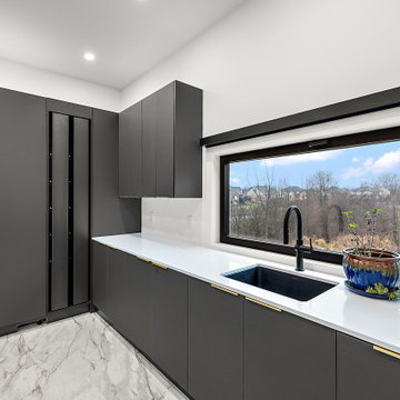 Modern Home in Farmland Setting