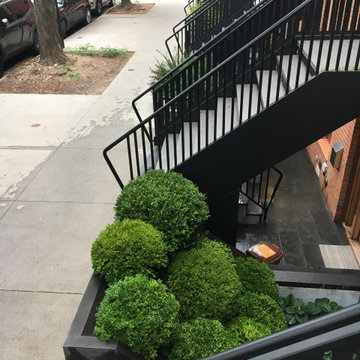 Front garden fun