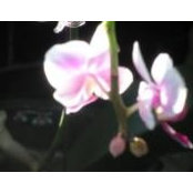 Gail Weber's photo