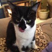 Michelle Carey's photo