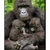 Kasia Holthouse's photo