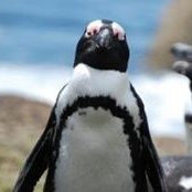 Jason Miller's photo