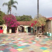 Ann Phan's photo