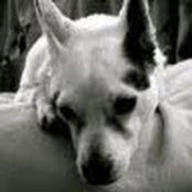 Laura Adler's photo