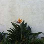 Sue Smith Justus's photo