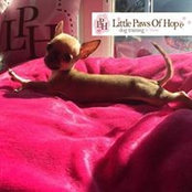 Photo de Hope Garlick