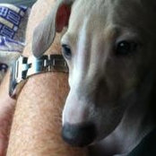 Scott Pilkenton's photo
