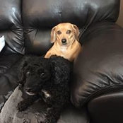 Becky Crass's photo