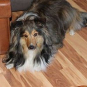 Sherry Conklin's photo