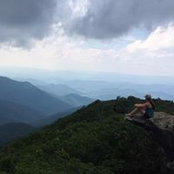 Michelle Ellington's photo