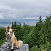 Schona Raes foto
