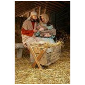 Diane Gingo's photo
