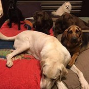 Susan Rich's photo