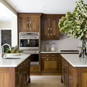 The Montauk Collection