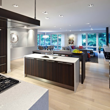 Mid-Century Modern in Bethesda
