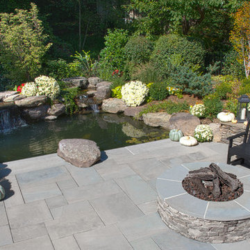 Koi Pond and Patio