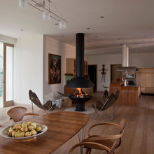 wood burning stove