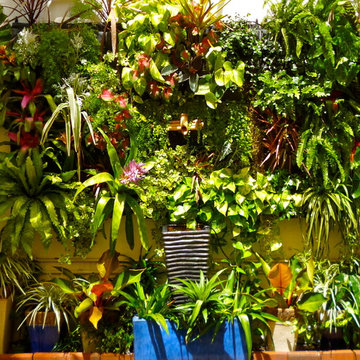 Living Wall